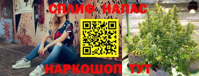 амф Будённовск