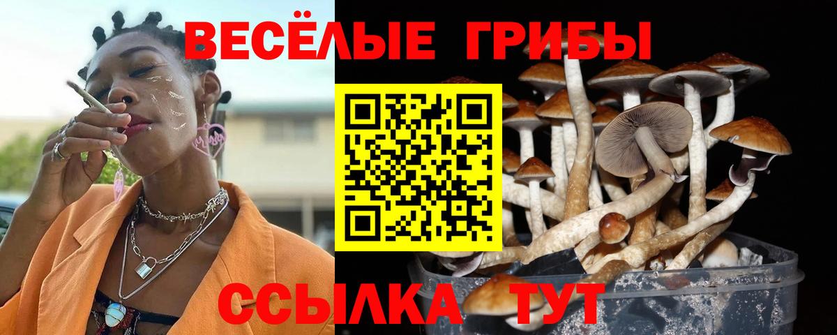 Галлюциногенные грибы Magic Shrooms Новороссийск
